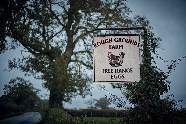 Farm sign at Rough Grounds Farm